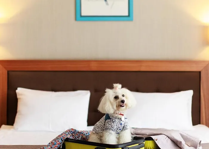 酒店 金牛座城市酒店 利沃夫