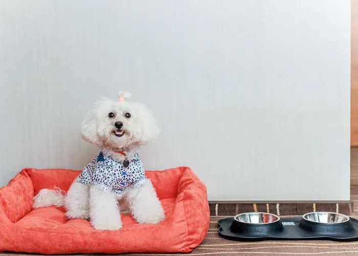 金牛座城市酒店 4*